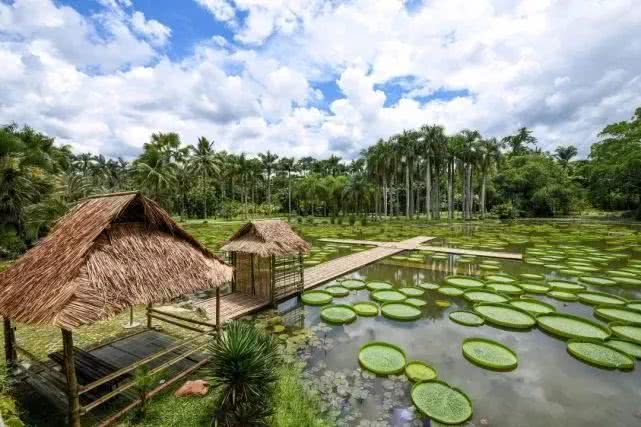 云南西双版纳幸福感,云南最有潜力的城市西双版纳