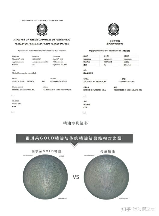 波旁天竺葵主要成分,有小玫瑰之称的天竺葵精油