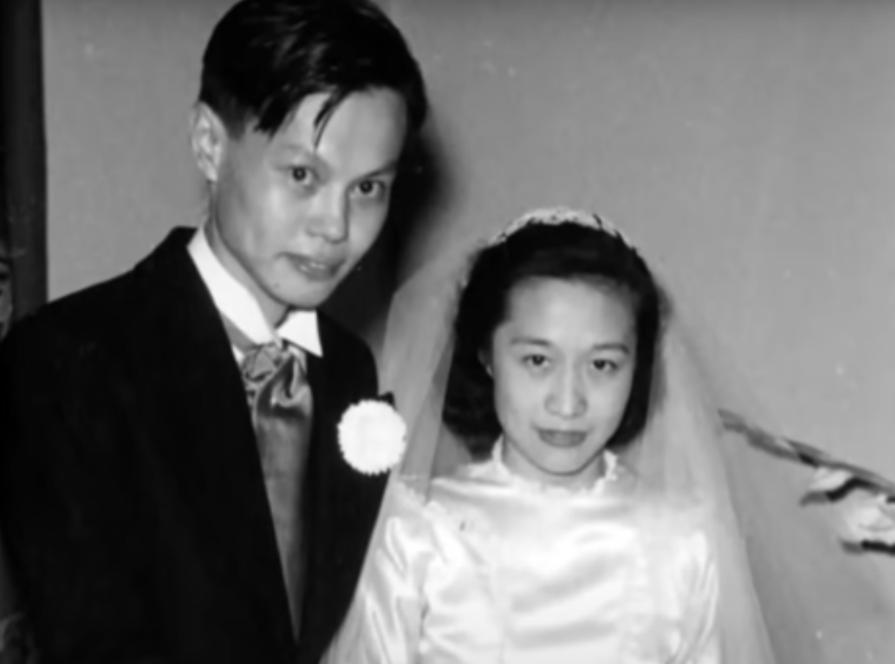 嫁给杨振宁前翁帆经历了什么,杨振宁娶翁帆的时候多大了