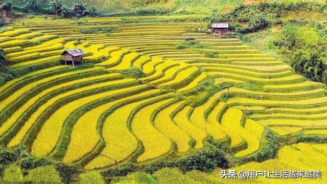 元阳是个美丽的地方,元阳是美丽城市吗