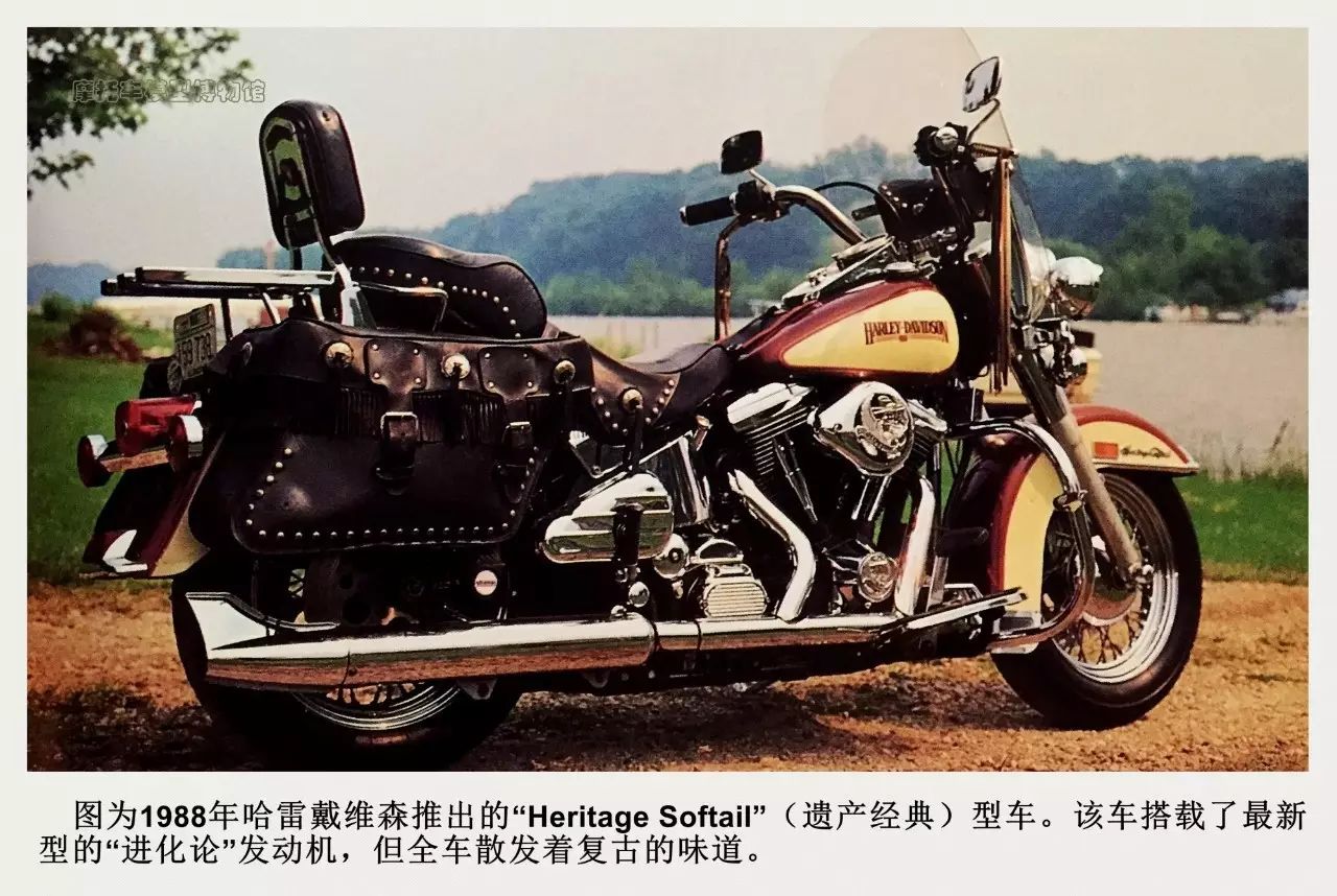 你的遗产小说,你的遗产英语阅读