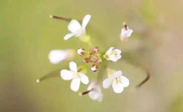 善良永远是最幸福的人,为什么越善良的人越得不到幸福