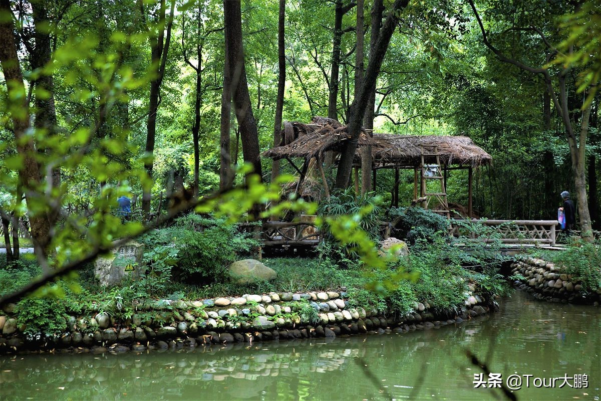 成都天府二街美食,成都天府夜间美食攻略
