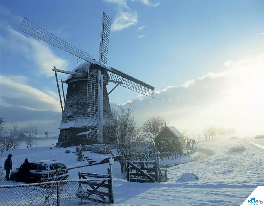 荷兰人滑冰,荷兰人去加拿大工作