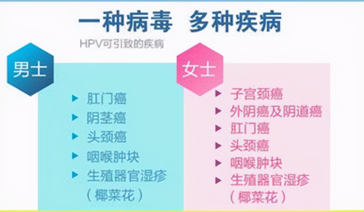 为什么洁身自好还得hpv16,洁身自好为啥会hpv感染
