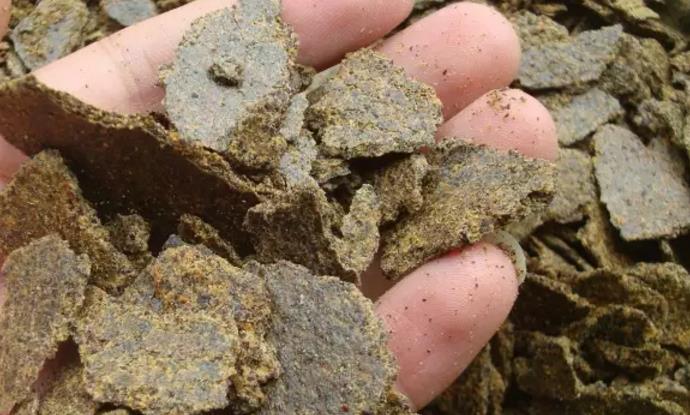 发酵有机肥为什么要加木屑,怎样发酵有机肥加什么剂