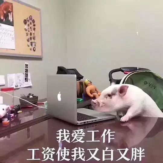 副业刚需未雨绸缪,副业刚需要注意哪些事