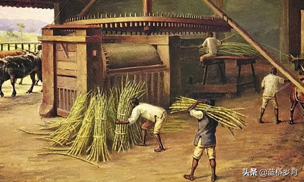 目前巴西足球著名球星有哪些,24年巴西足球还有哪些球星