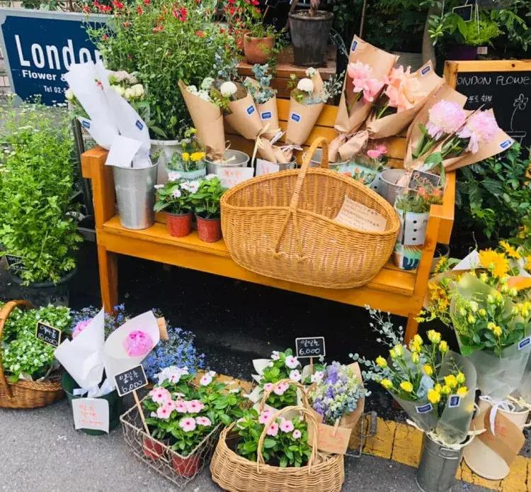 日本旅游必买清单药妆,去日韩必买的东西