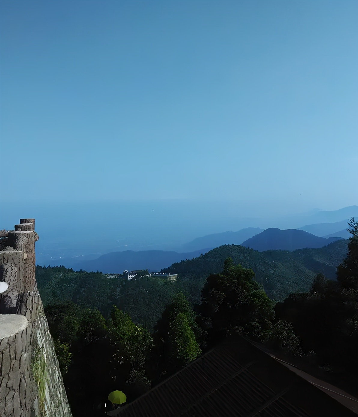 毛尖云雾绿茶哪款好喝,你们喝过最好喝的茶
