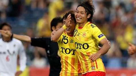 北九州向日葵为什么这么厉害,北九州向日葵最新预测