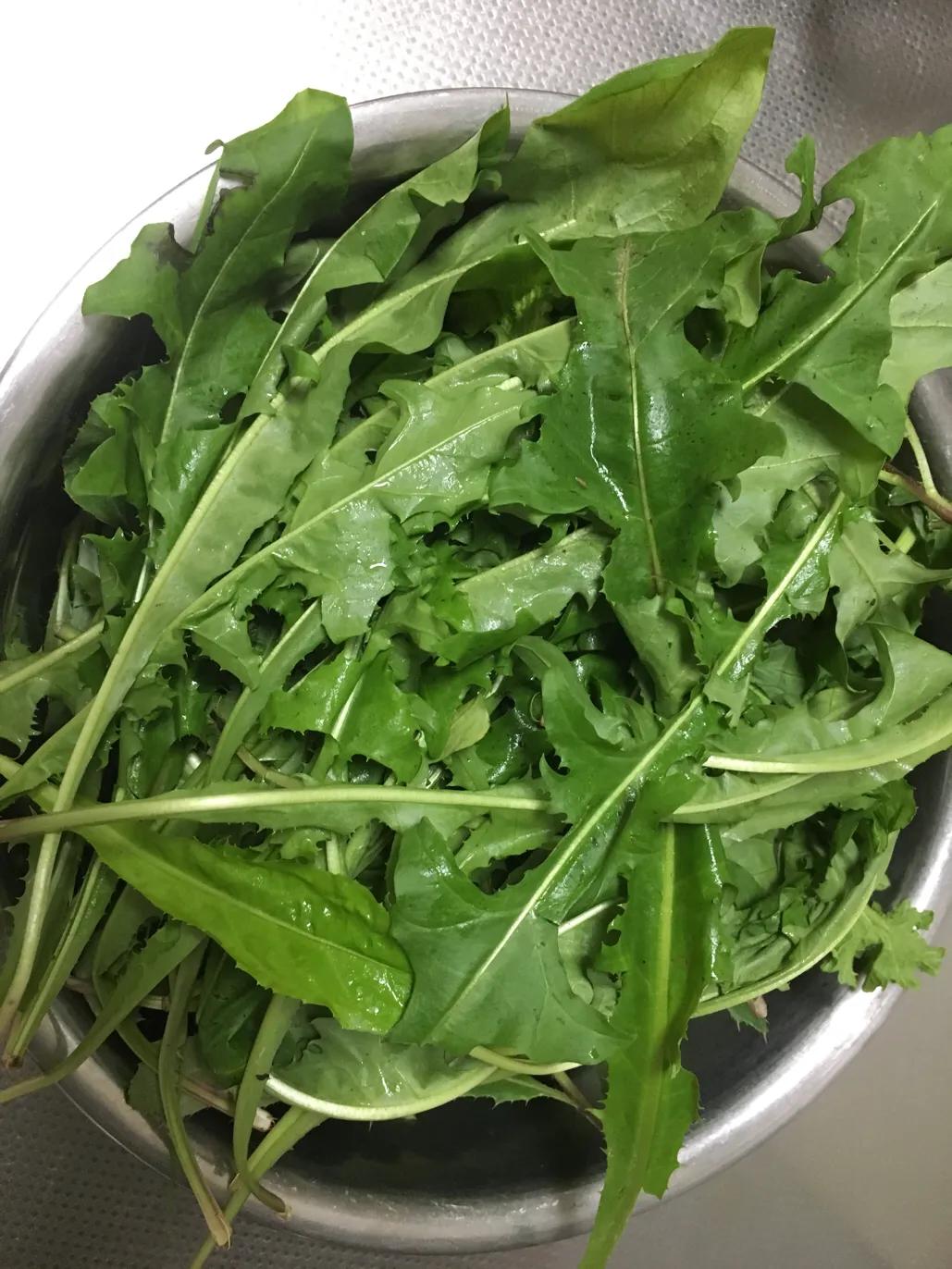 用白醋自制酸菜最简单的方法,白醋腌酸菜的危害