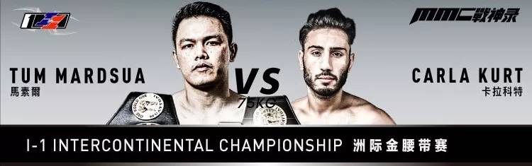 泰拳one冠军赛对战名单,泰拳one冠军赛对阵表