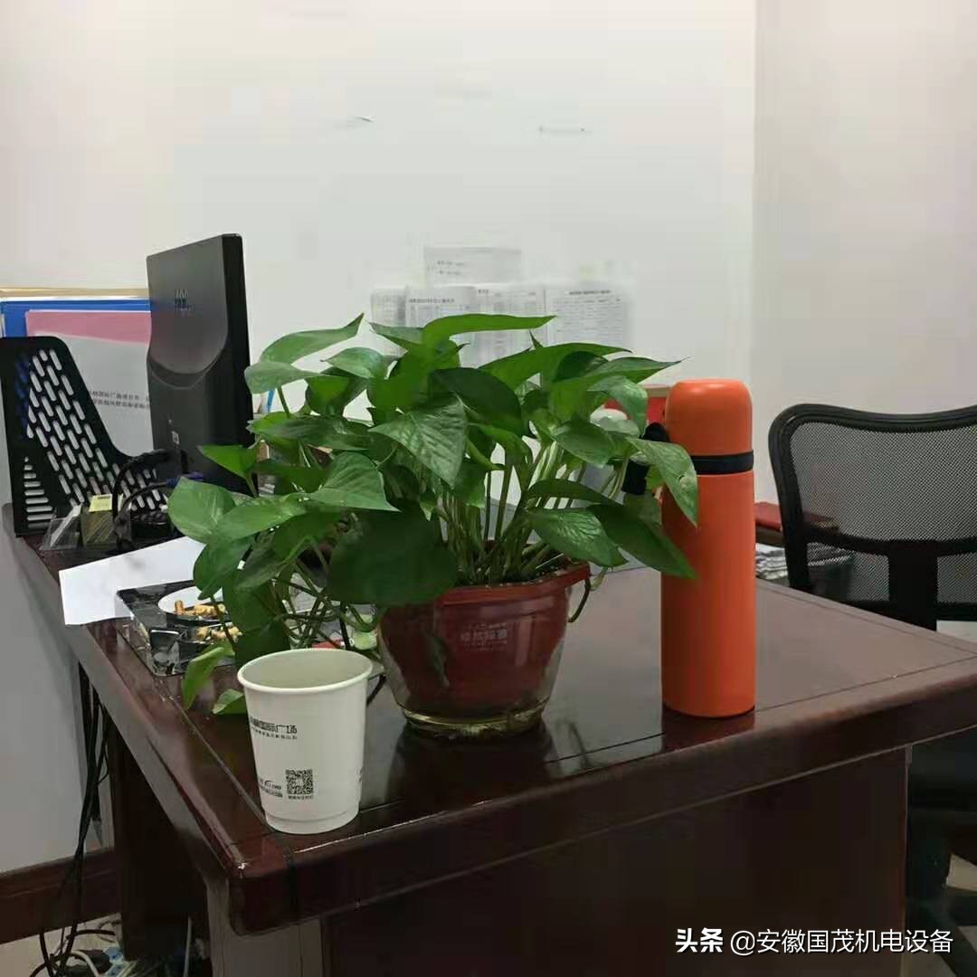 惊鸿一瞥一刹那,惊鸿一瞥一瞬间