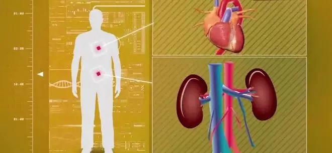 茶叶储存期多久不能喝茶,茶叶放久了真的会更好喝吗