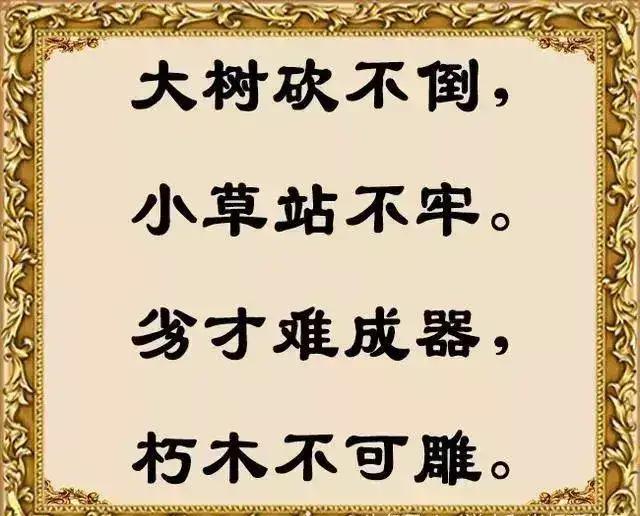 劝君莫烦恼，烦恼人易老！发给朋友们乐一乐