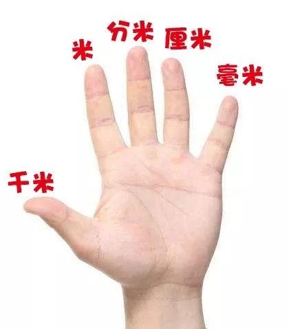 体积和容积单位的换算公式,二年级下单位换算公式大全