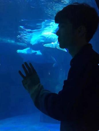 西安大学学霸保研,大学保研的学霸