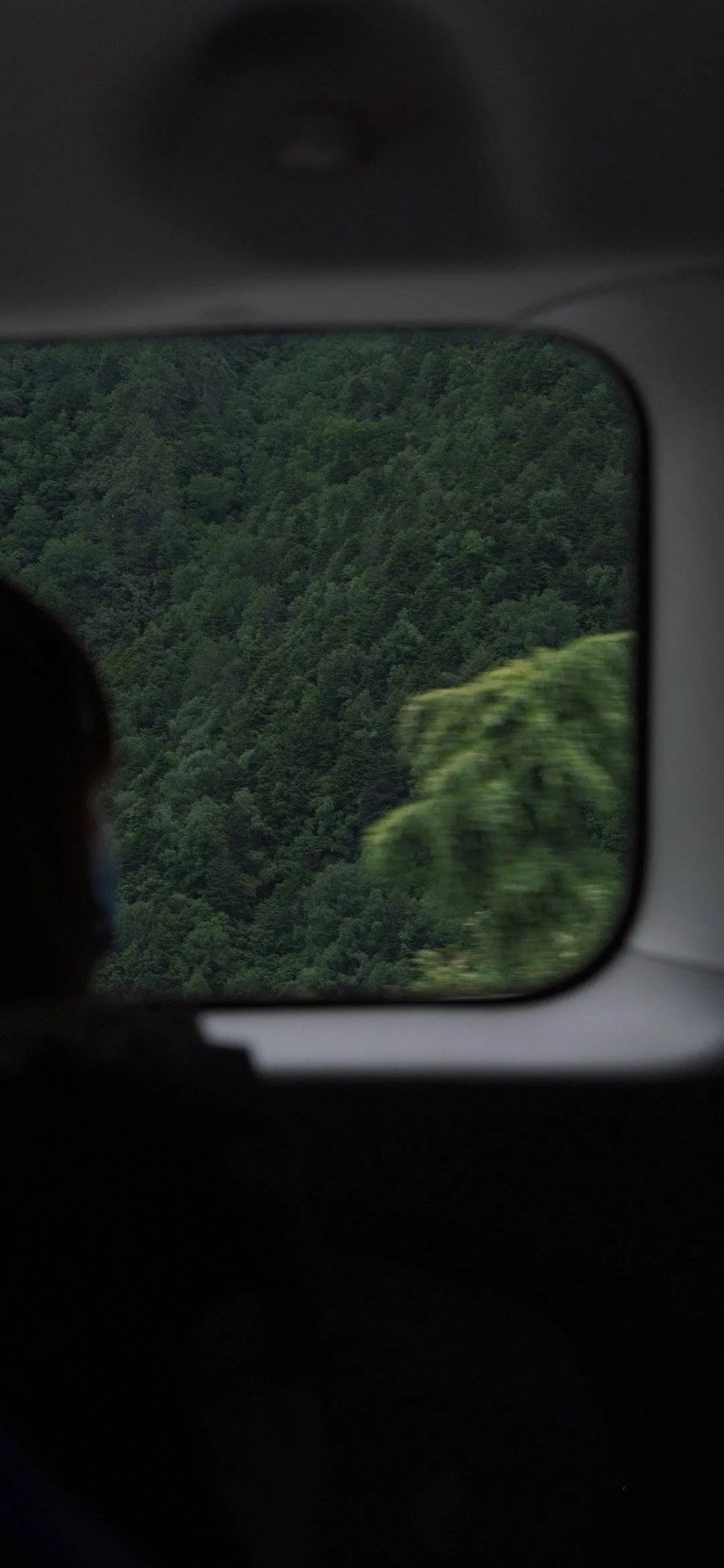 军人聊天背景图可爱女,聊天背景图可爱星黛露