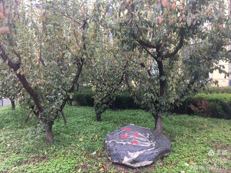 陕西省渭南市临渭区人和小学,临渭区人和小学