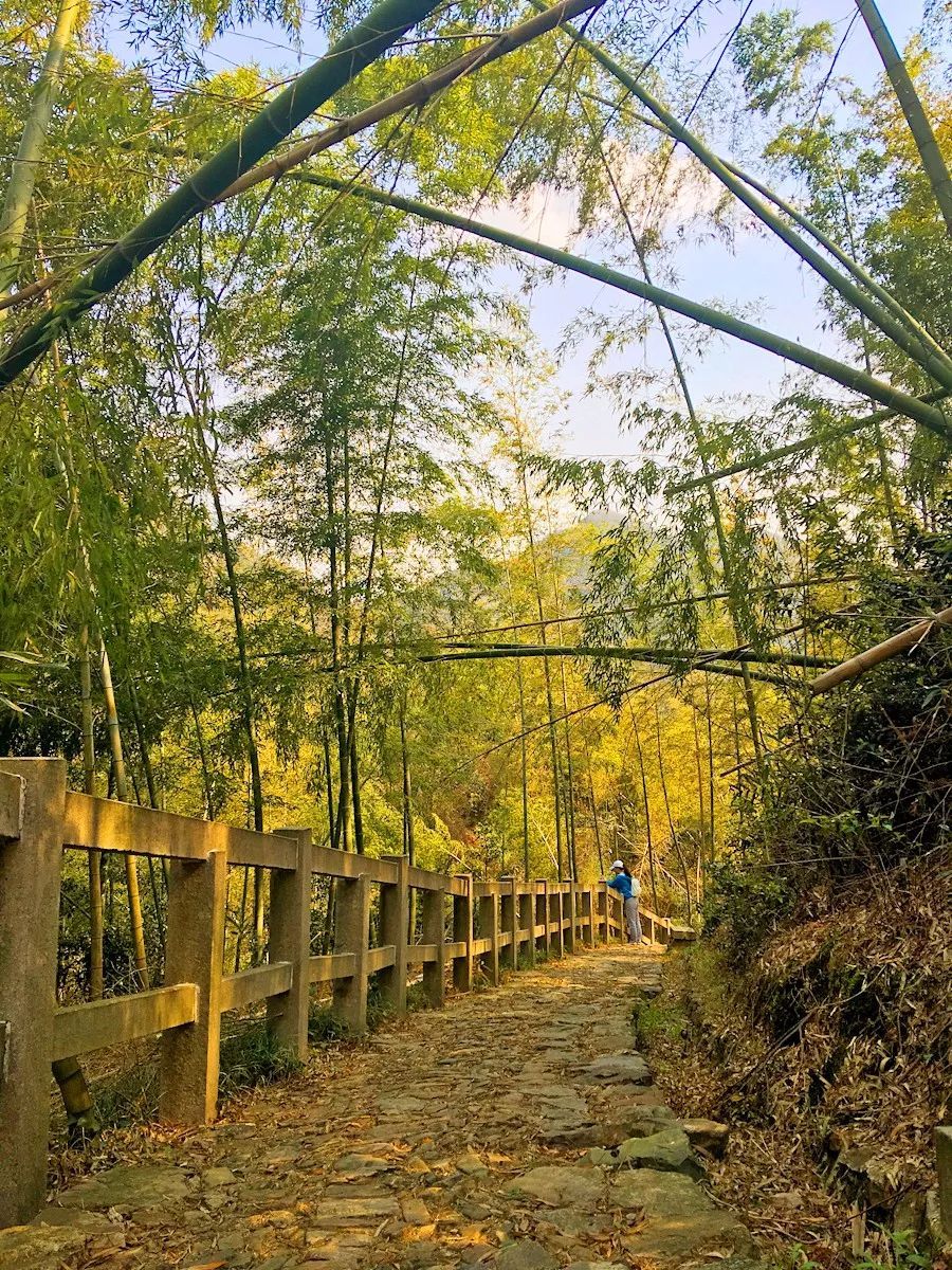 宁波有藏传佛教寺庙吗,宁波的佛教圣地是什么寺