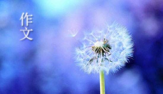 小学语文八种独特的句式转换方法,语文句式改写技巧大全