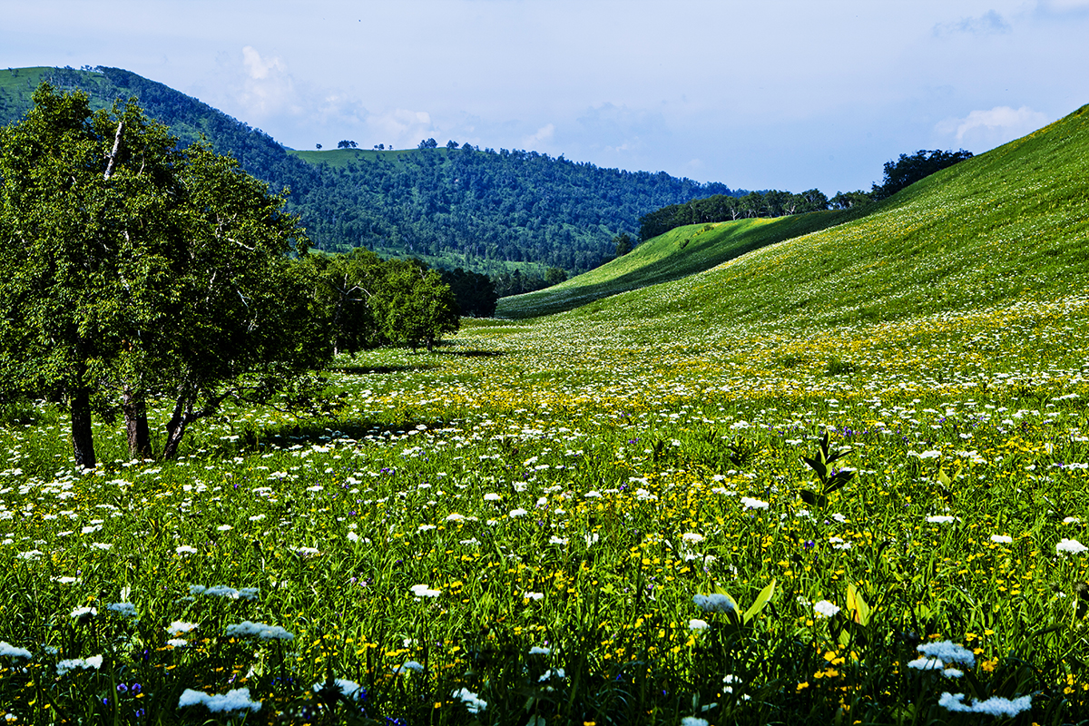 东北地区海拔最高的几座山峰,东北十大最高的山