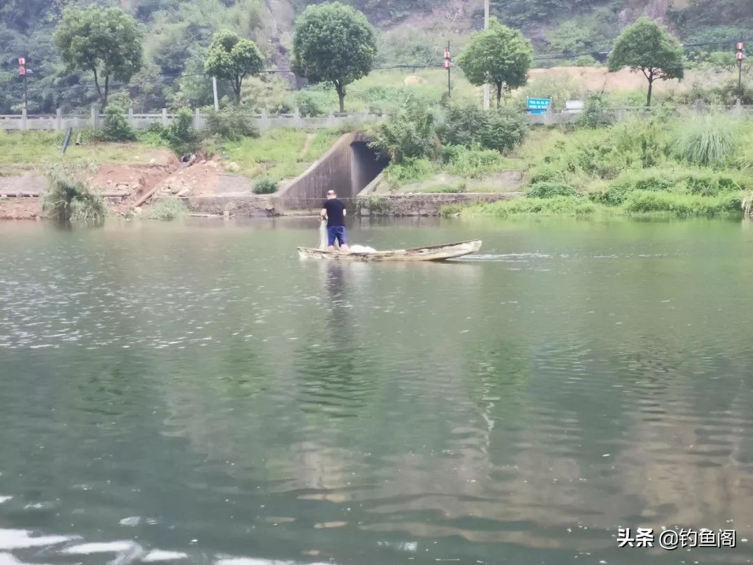 为什么野钓渔获越来越少,现在野钓基本没啥渔获