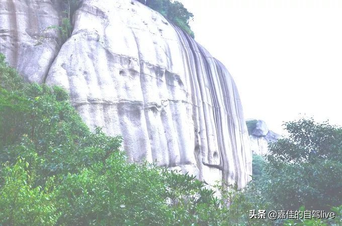 福鼎一日游学生攻略,福鼎两日自由行攻略