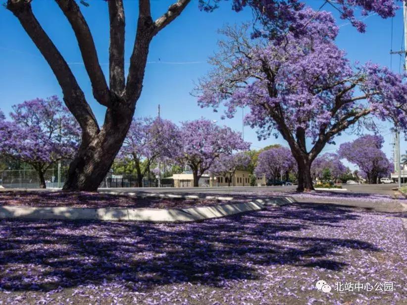 相当于112个足球场的图片,深圳足球公园效果图