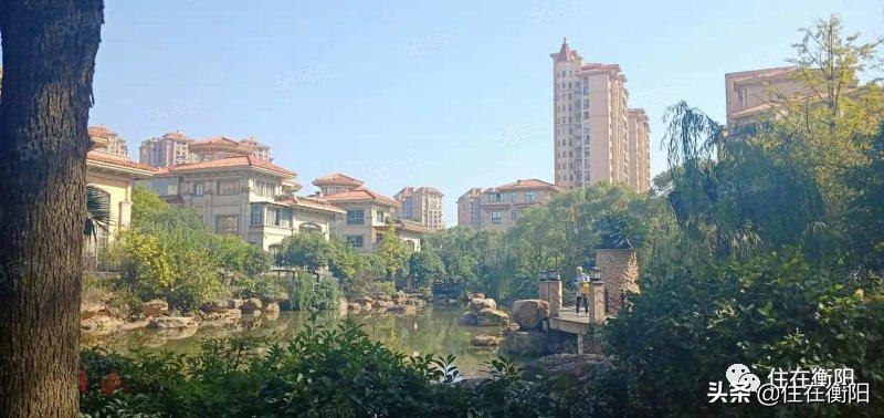 衡阳上涨最快的楼盘,衡阳降价力度最大新楼盘