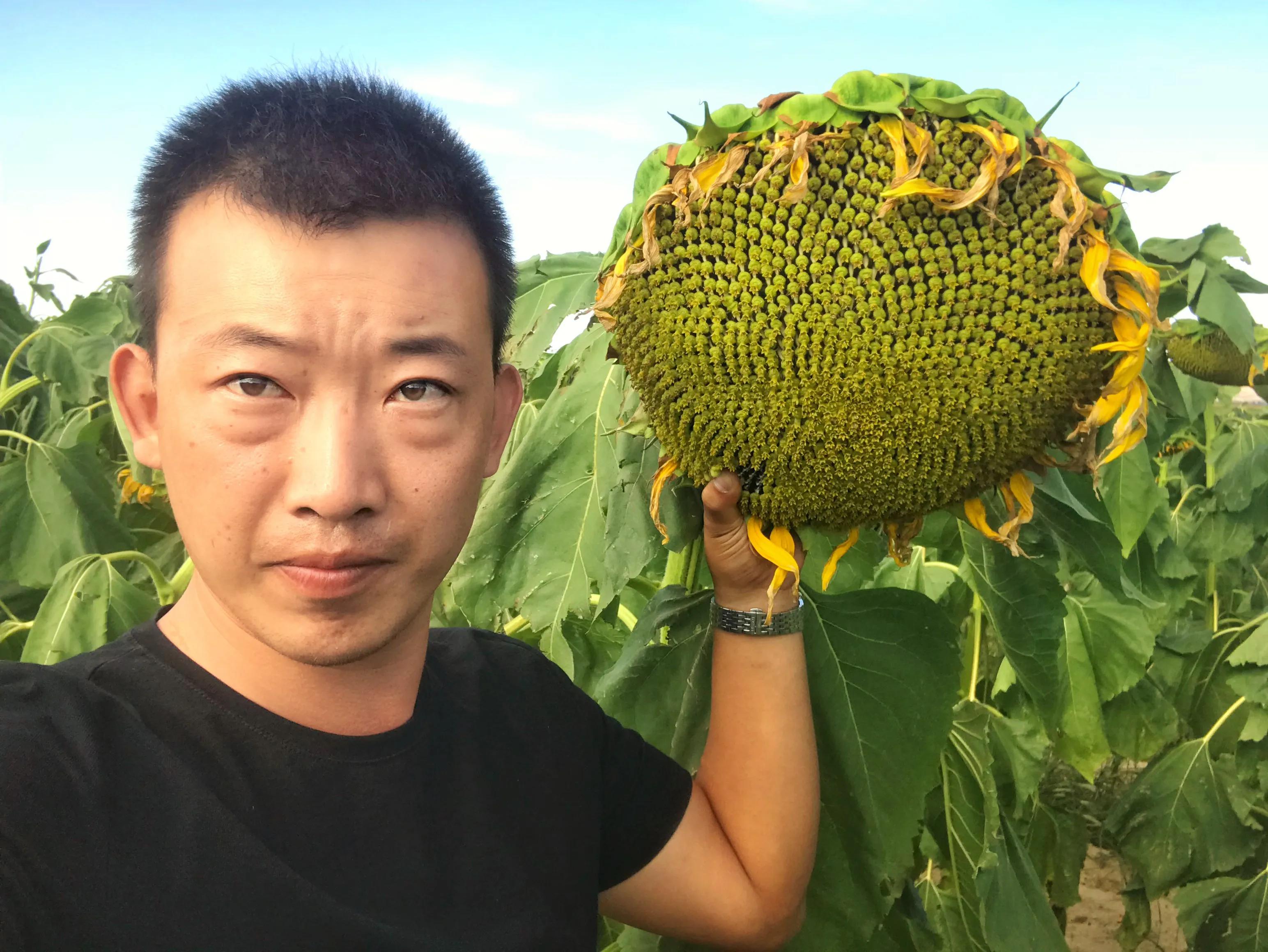 农民创业卖农产品,返乡农民农业创业