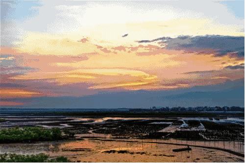 不孕不育更好吃？这种湛江生蚝无心恋爱专注长肉