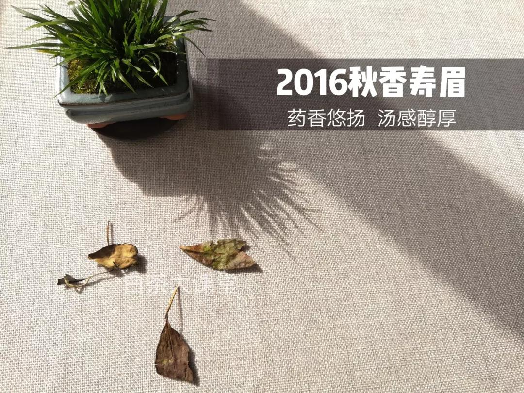 买到茶梗很多的白茶寿眉，是不是品质不好？