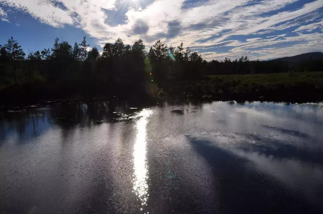 五一假期闺蜜去大兴安岭穷游,闺蜜自驾大草原