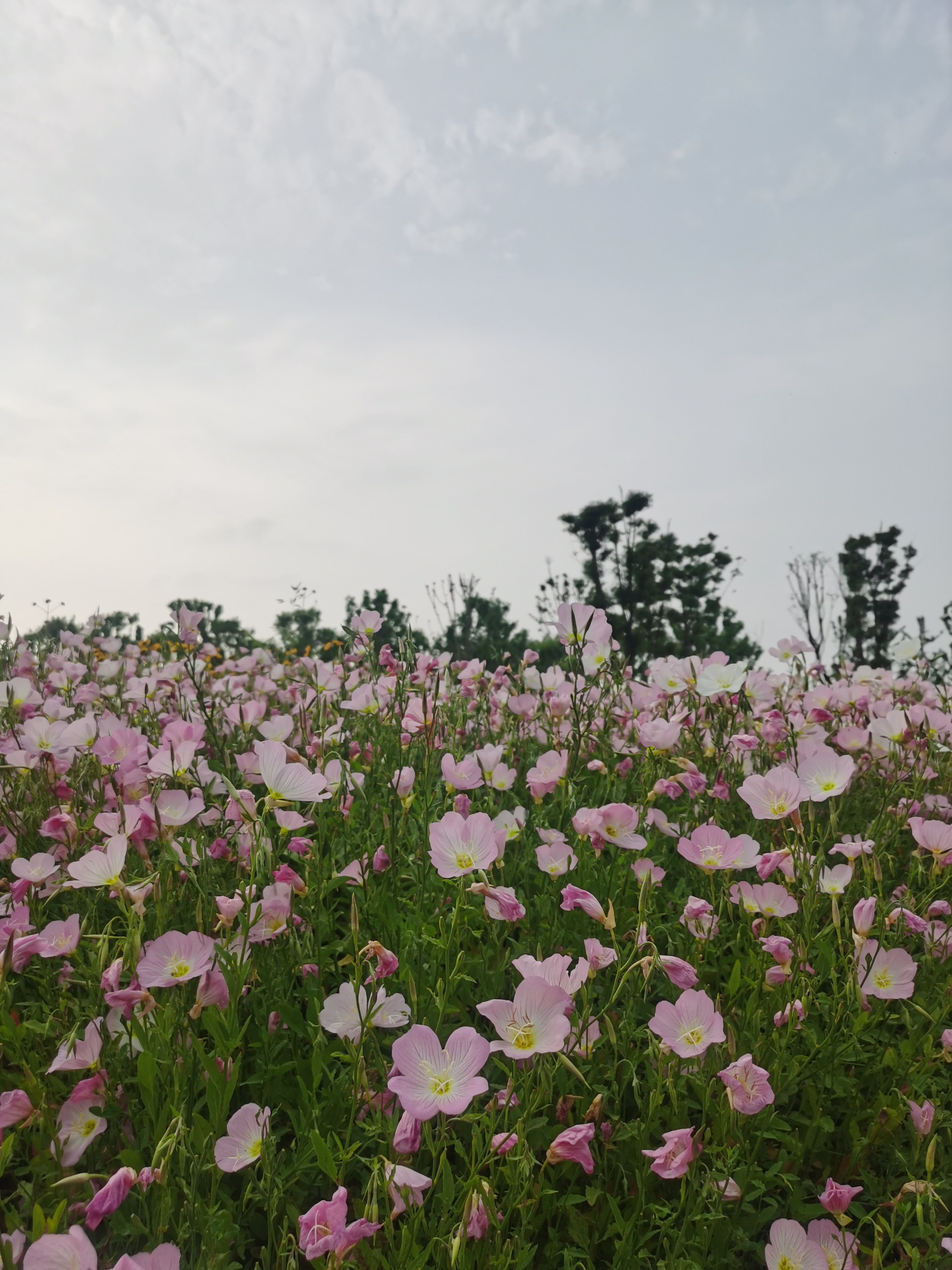 马鞍山风景名胜区,生态画卷美不胜收