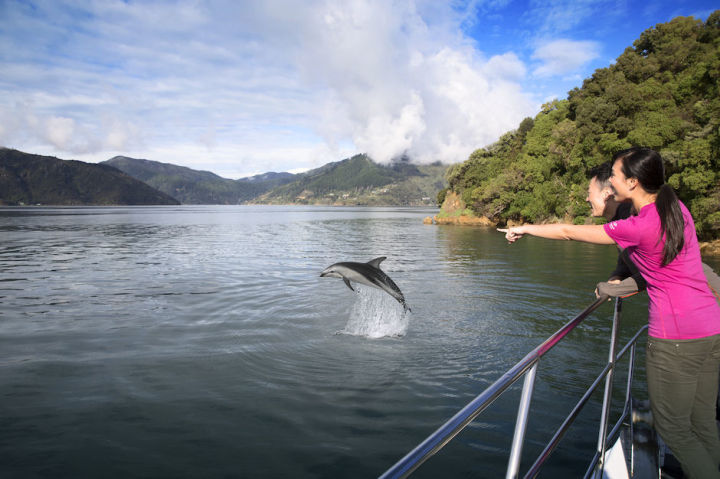 北欧婚礼旅拍流程,国外婚礼旅行策划方案