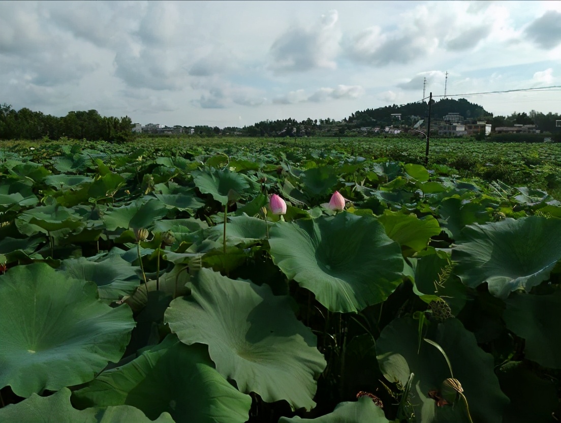 综合油耗6.4我家1W公里英朗越开越经济
