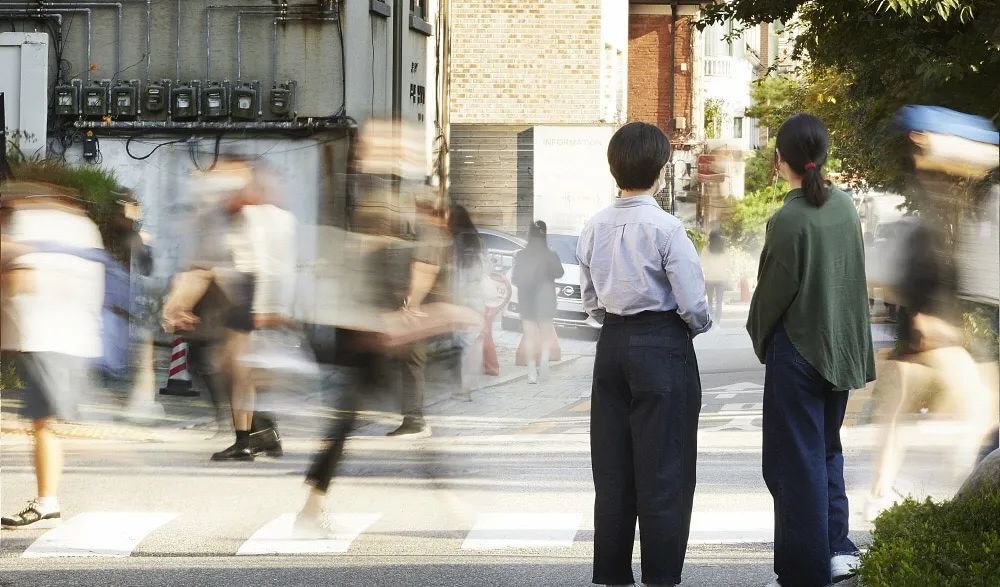 她们追踪了N号房