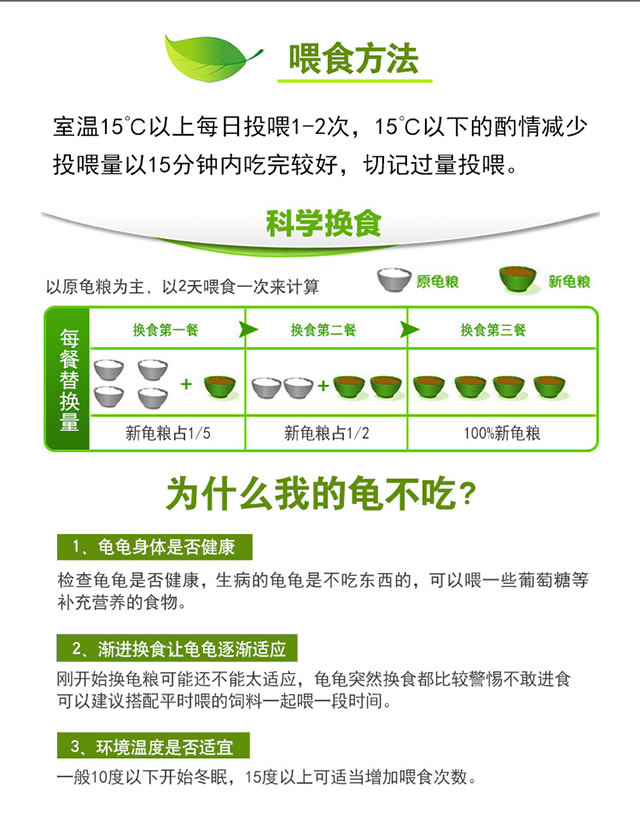 乌龟喂养多久吃一次龟粮比较好,养乌龟一次喂多少龟粮合适