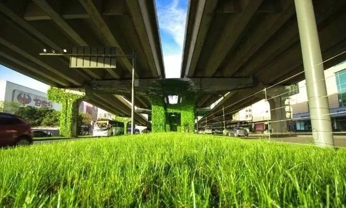 成都二环绿化,成都二环绿植视频