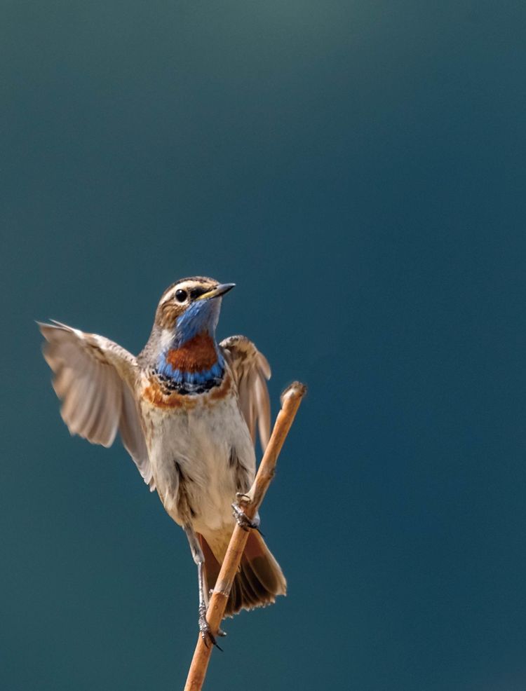 情人岛拍摄地点,情人岛航拍视频