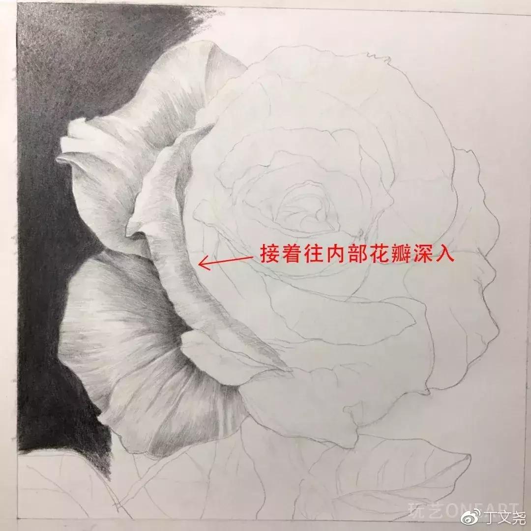 素描教程简单8-12岁玫瑰花,玫瑰素描怎么画