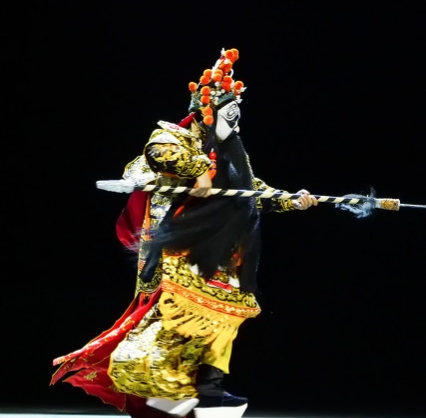 世界上最美丽的花虞美人,虞美人最美的花