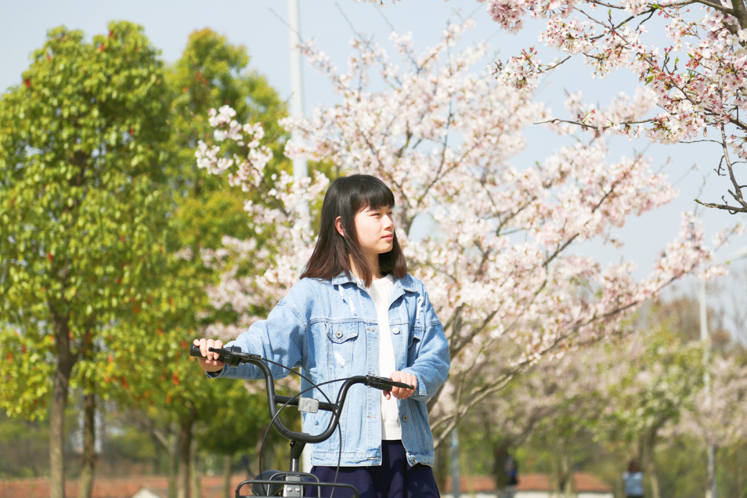 武汉外语外事职业学院新生指南,武汉外语外事职业学院官网是什么