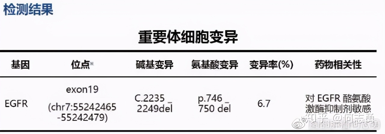 肺癌患者能不能不做基因检测，先用药呢？