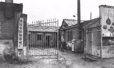 椰树牌广告擦边引发争议,椰树牌椰汁广告为何被罚款