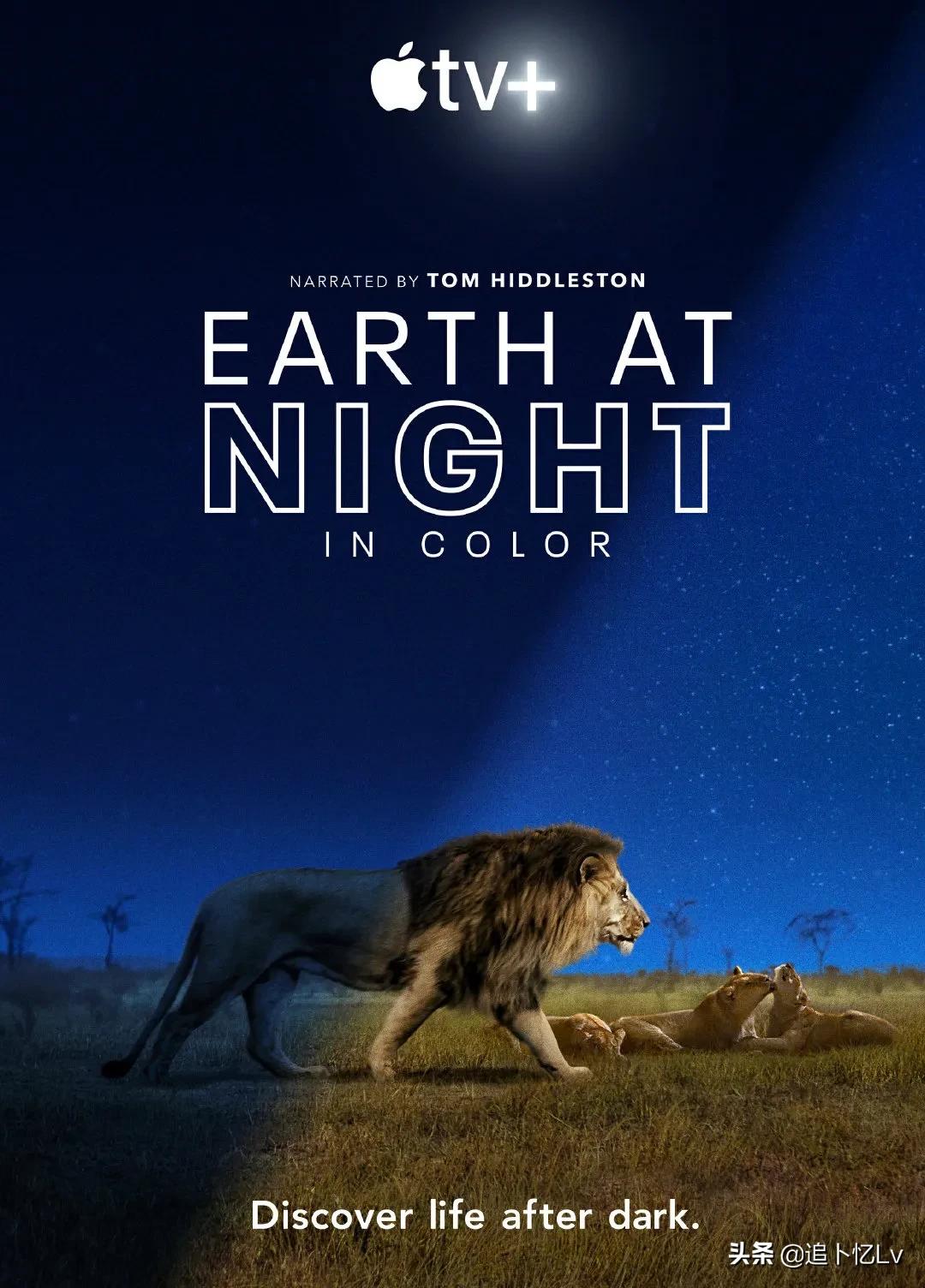 iphone8plus鍗囩骇ios14.3缁埅娴嬭瘯,iphone11promax14.3瀹為檯缁埅