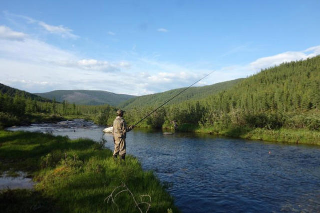 阿勒泰地区,追寻这种冷水溪流中的精灵“花翅子”现在已经禁钓