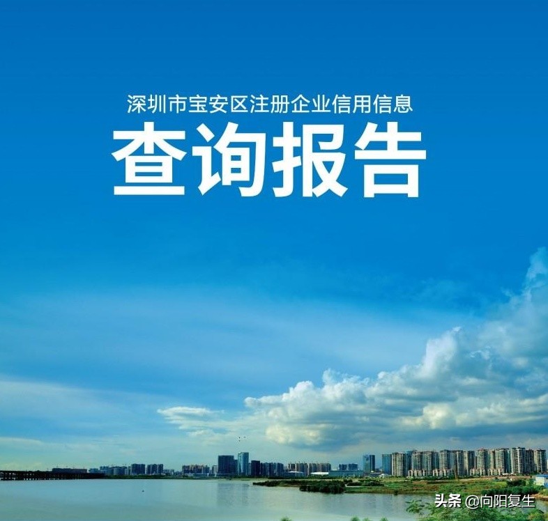 淄博企业征信报告网上查询打印,北京企业征信报告网上查询打印